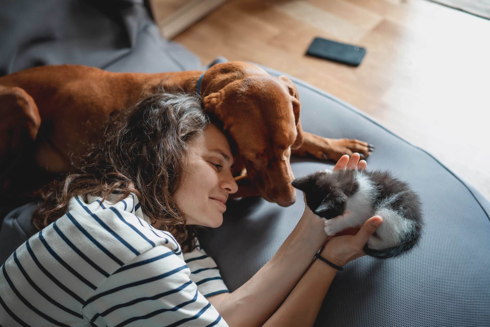 A woman playing with a dog and a kitten on a couch
